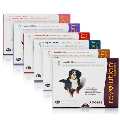 Revolution flea meds for sales dogs