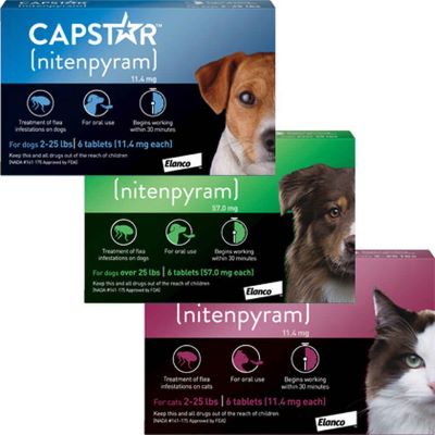 Capstar for dogs and cats 2 to 2024 25 lbs